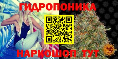 хмурый Будённовск