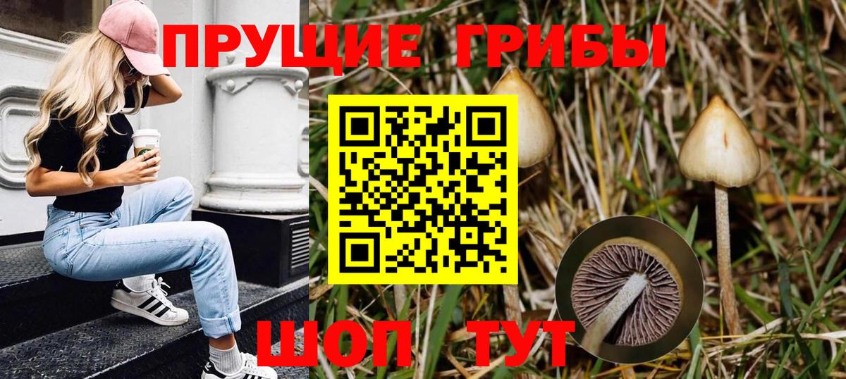 Галлюциногенные грибы GOLDEN TEACHER Ревда