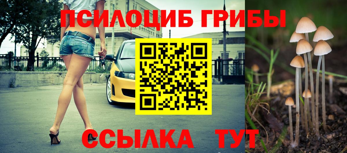Галлюциногенные грибы Psilocybe  Вход с VPN  Ревда 